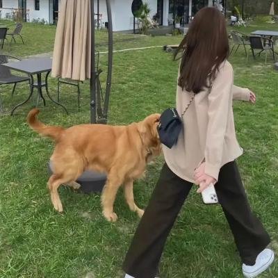追风行动